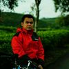 andri438