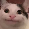 baqxyy