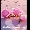 hafidadiamantrose
