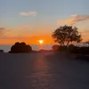 alexanderhenareh