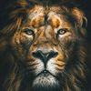 leobrandonbanda