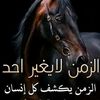 user7294540141106