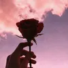 shroukfoad0
