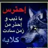 user6042318924015