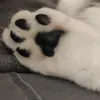 ncnstntn
