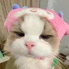 kitty.meomeow