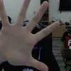 palidokinskin