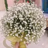 hathianhtuyet13