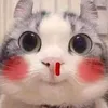 🐹🩶