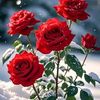 khinkhin4546khinkhin4546