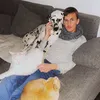 les_cvs