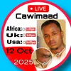 hamtha243
