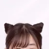 aho04066