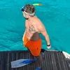 lvincognito