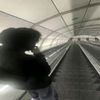 ryukaa144p