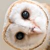 easeworld_n