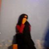 fatatin.jadidah