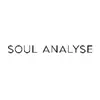 Soul Analyse