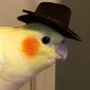 lorito_saurio_rd