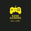 senegaming