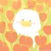dinhvit11