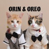 ORIN & OREO 😺