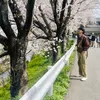 lukmanfangestu