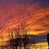 morgenrot2