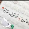 habibaahmed29573