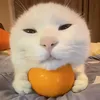 yenhoangggg
