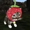 anna._ah