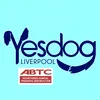 yesdogliverpool