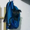 kelvindabf_011