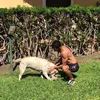 emiberto