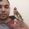 adelkayan