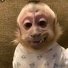 franciscano_2