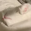 b_meow2