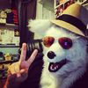 ty_needic