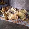 pisang_sale1