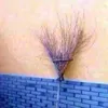 cheguardihee