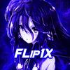 _flipix__so2