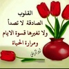 abualreesh601