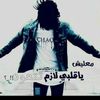 user91019230808007