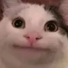cazz0_vuoii_