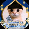 ppkucingramadan737