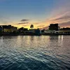 _shot31