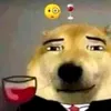 igor_delas812