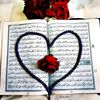 mzz.amaal2