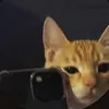 actingmobile8