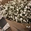qxfys
